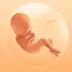 Pregnancy Tracker