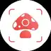 Picture Mushroom