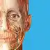 Human Anatomy Atlas 2026