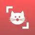 Cat Scanner v24.5.9-G