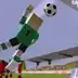 Champion Soccer Star
