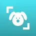 Dog Scanner v24.5.9-G