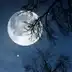 Relax Night