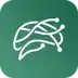 ASKI AI Chat Bot