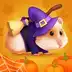 Hamster Maze