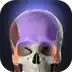 Anatomyka Atlas