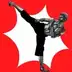 Flexibility for Fighters v2.31.google