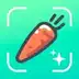 Nutrilio Food Tracker & Water