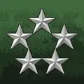 Raising Rank Insignia