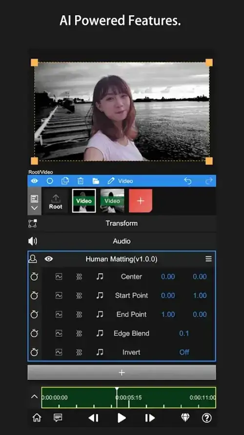 Node Video โ Pro Video Editor