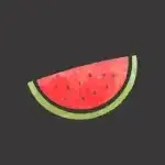 Melon VPN v9.0.270 MOD APK (VIP Unlocked)