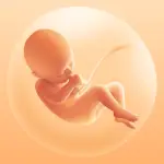 Pregnancy Tracker v3.162.0 MOD APK (Premium Unlocked)