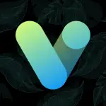 Vera Icon Pack APK v6.5.9 (Full Version)