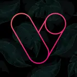 Vera Outline Icon Pack APK v6.5.9 (Full Version)