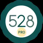 528 Player Pro v41.51 APK (Paid)