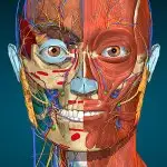 Anatomy Learning - 3D Anatomy v3.2.512 MOD APK (Full version Unlocked)