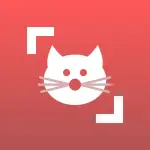 Cat Scanner v24.5.9-G MOD APK (Premium Unlocked)