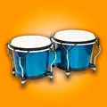 Congas & Bongos