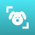Dog Scanner v24.5.9-G MOD APK (Premium Unlocked)
