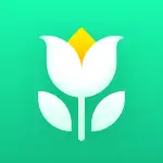 Plant Parent v1.109 MOD APK (Premium Unlocked)