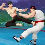 Karate Fighter