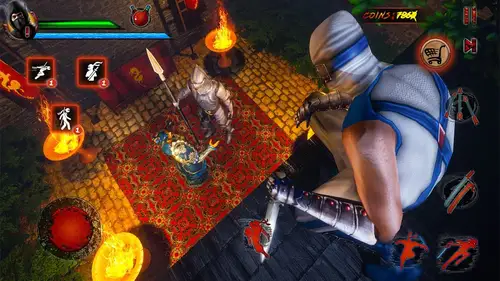 Shadow Ninja Warrior Fighting