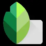 Snapseed v4.1.0.947169229 APK (Latest)