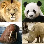 Animals Quiz Learn All Mammals v3.9.0 MOD APK (Unlimited Money)