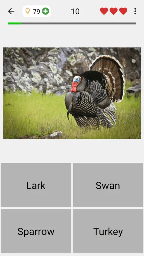 Animals Quiz Learn All Mammals