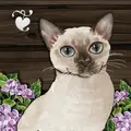 Cottage Garden v107 APK (Full Game)