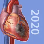 Physiology & Pathology v1.1.06 APK (Full Version)
