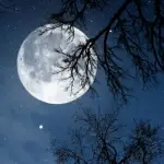 Relax Night v6.3.0 MOD APK (Premium Unlocked)