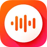 VoiceX