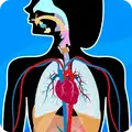 Anatomix v2026.1.0 MOD APK (Premium Unlocked)