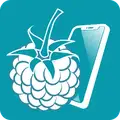RaspController v6.2.4 MOD APK (Premium Unlocked)
