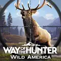 Way of the Hunter Wild America v1.0.12 MOD APK (Unlocked All DLC)