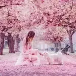 Girly Wallpapers for Girls v6.0.62 MOD APK (Premium Unlocked)