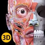 Anatomy 3D Atlas v7.1 MOD APK (Premium Unlocked)