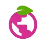 Berry Browser v3.83.38 MOD APK (Premium Unlocked)