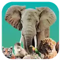 Ark Nova v1.0.5 APK (Full Game)