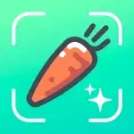 Nutrilio Food Tracker & Water