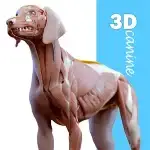 Complete Canine 3D - anatomy v1.73 APK (Premium Unlocked)