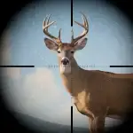 Trophy Hunter v3.17.0 MOD APK (Menu, One Shot Kill)
