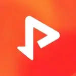 Video & Music Downloader v4.8.6 MOD APK (Premium Unlocked)
