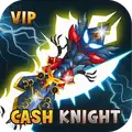 +9 Blessing Cash Knight