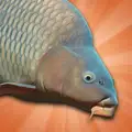 Carp Fishing Simulator v3.1.3 MOD APK (Free Purchase)