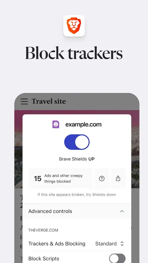 Brave Browser screenshot 4
